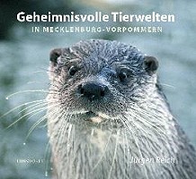 Geheimnisvolle Tierwelten in Mecklenburg-Vorpommern